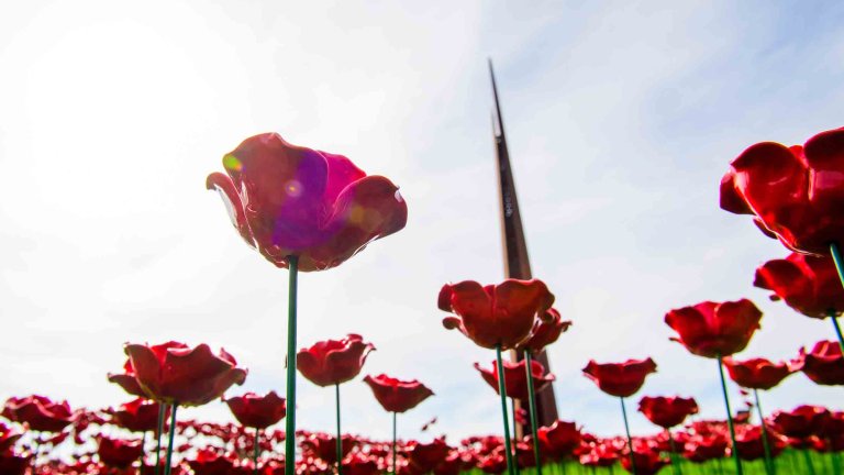 Ceramic poppies which form the shape of a Lancaster Bomber at International Bomber Command.