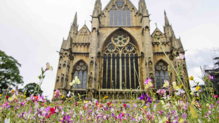 Chris Vaughan - case study images: Lincoln Cathedral | The eastern side of Lincoln Cathedral with a wild flower area in front of it.